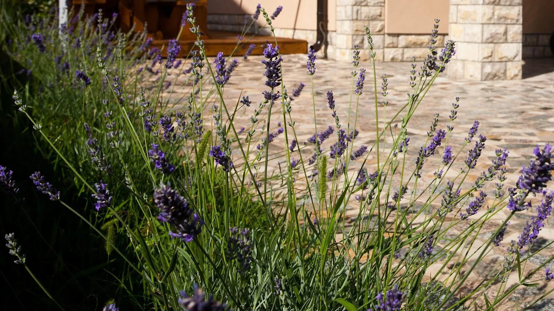 ***  Bed & Breakfast Mario Krk Town Croatie